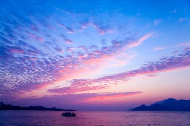 测试测试